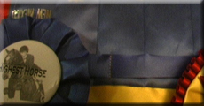 Ribbon Showcase Tabs