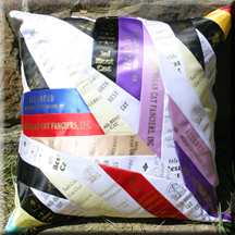 Quarter Star Pillow